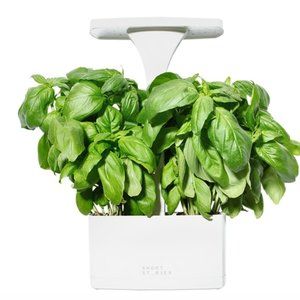 Short Stories LED Indoor Planter